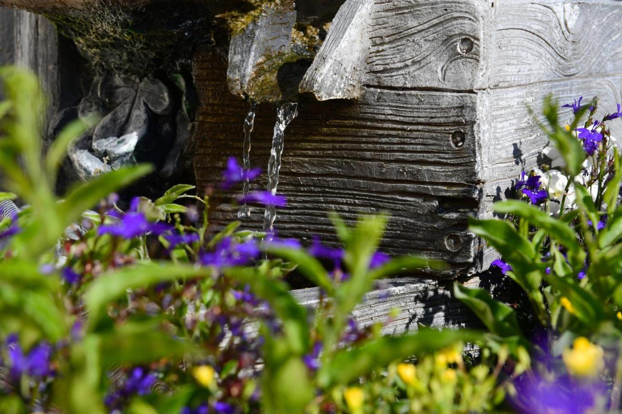 Landhotel Jungbrunnen Bad Brambach Bagian luar foto