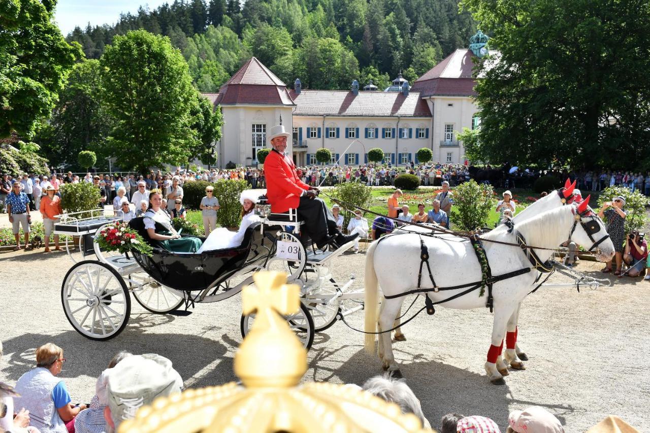 Landhotel Jungbrunnen Bad Brambach Bagian luar foto